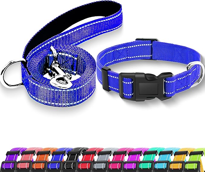 Reflective Dog Collar with Safety Locking Buckle, Adjustable Soft Breathable Nylon Collars for Small, Medium and Large Dogs(Collar+Leash XS Width 5/8" Navy Blue)