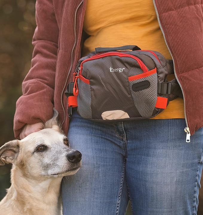 iEnergy™ PAT Waist Belt for Dog Owners - Hands-Free Dog Walking Fanny Pack with Treat Pouch - Durable Dog Training Bag for Hiking & Running - Dog Walking Belt with Accessories (Green)