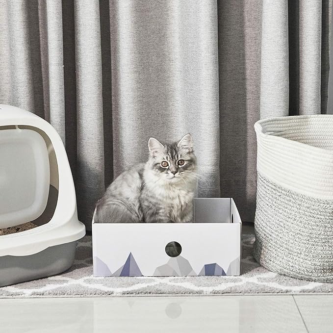 Cat Scratcher Box with Heavy-Duty Double-Sided Cardboard Pad, Cardboard Lounger, Interactive Hole Design, Cat Bed for Indoor Cats, White, Large