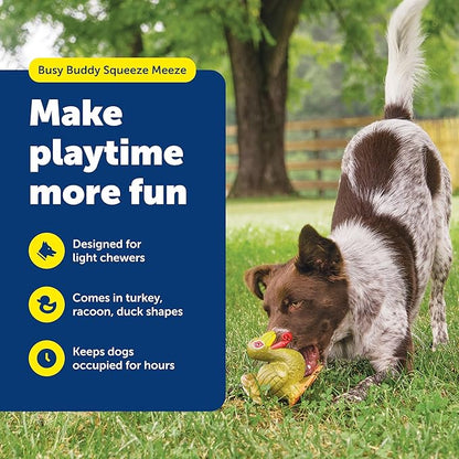 PetSafe Busy Buddy Squeeze Meeze - Fun Latex Dog Toy with Squeaker - for Light Chewers - Turkey