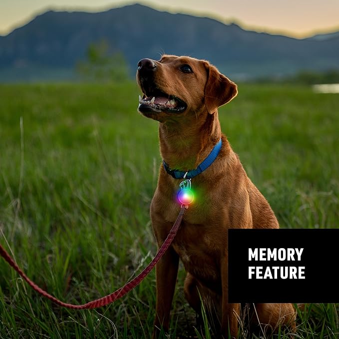Nite Ize SpotLit Rechargeable Collar Light - Disc-O Tech - Clip-On Pet Accessory for Nighttime Visibility - Color-Changing LED - Stainless Steel Carabiner Clip - Weather-Resistant