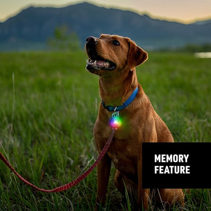 Nite Ize SpotLit Rechargeable Collar Light - Disc-O Tech - Clip-On Pet Accessory for Nighttime Visibility - Color-Changing LED - Stainless Steel Carabiner Clip - Weather-Resistant