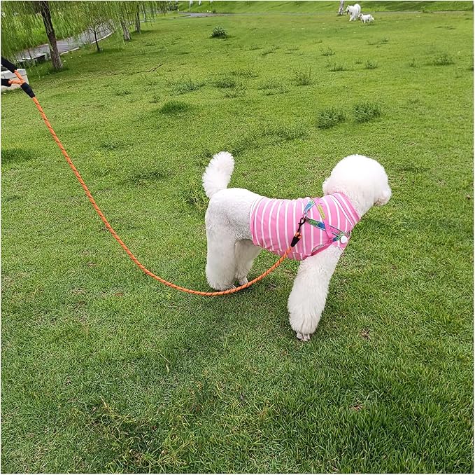 MayPaw 6FT Heavy Duty Rope Dog Leash, Soft Padded Handle Nylon Pet Leash, Thick Lead Leashes for Large Medium Dogs Walking Training (Orange Black, 1/2" * 6')