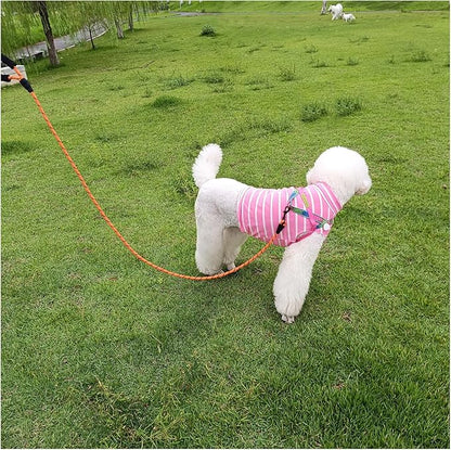 MayPaw 6FT Heavy Duty Rope Dog Leash, Soft Padded Handle Nylon Pet Leash, Thick Lead Leashes for Large Medium Dogs Walking Training (Orange Black, 1/2" * 6')