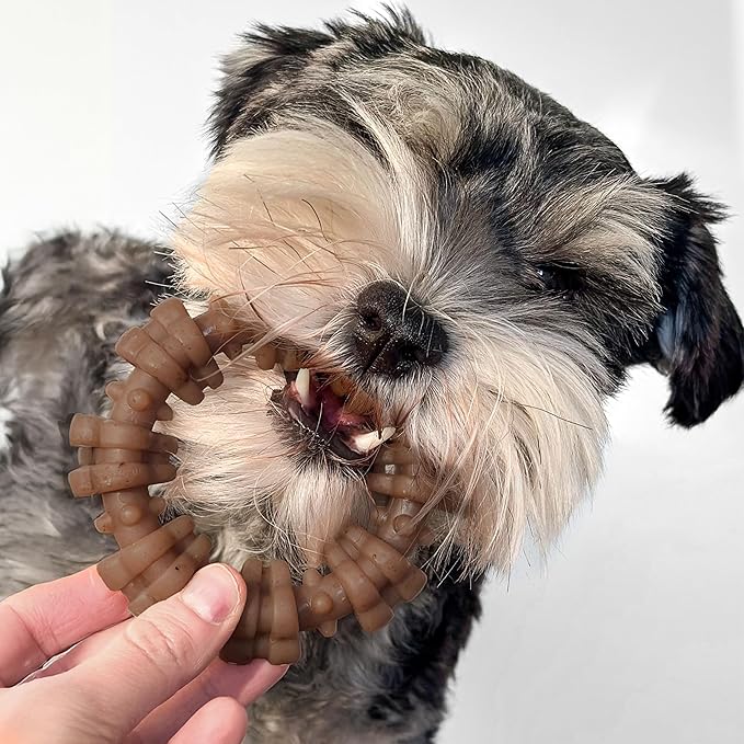 Nylabone Strong Chew Textured Ring Dog Toy Made with Real Beef & Chicken, Durable Chew Toys for Aggressive Chewers, Long Lasting Dog Bone, Keeps Dogs Busy, Small Breeds - Up to 25 lbs