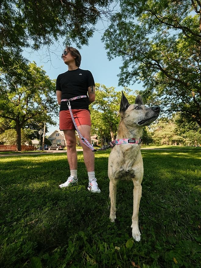 Stunt Puppy Stunt Runner Hands-Free Dog Leash, Frolic Summer