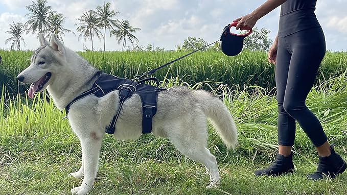 Tuff Pupper Heavy Duty Retractable Dog Leash | 16 ft Dog Leash with Reflective Stitching for Nighttime Safety | One Button Lock and Release | Comfortable Hand Grip | for Dogs Up to 44 lbs Black/Red
