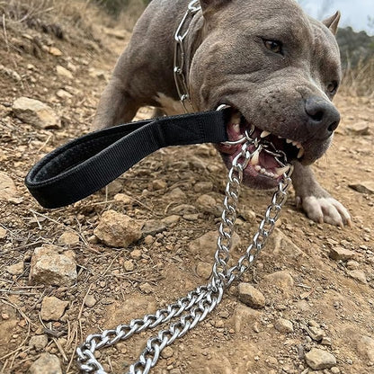 CtopoGo Heavy Duty Dog Leash,Metal Dog Chain Leash with Padded Handle for Large & Medium Size Dogs (6 ft. x 3.0 mm (25-120 lbs.))