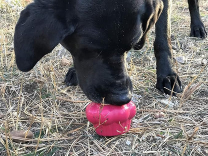 SodaPup MuttsKickButt Cupcake – Durable Dog Treat Dispenser & Chew Toy Made in USA from Non-Toxic, Pet Safe, Food Safe Natural Rubber for Mental Stimulation, Problem Chewing, Calming Nerves & More