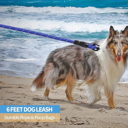 BAAPET 2/4/5/6 FT Dog Leash with Comfortable Padded Handle and Highly Reflective Threads for Small Medium and Large Dogs (6FT-1/2'', Navy Blue)