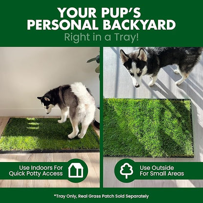 Fresh Patch Plastic Tray for XL Real Grass Pee and Potty Training Pads for Large Dogs and Multi-Dog Households – 4 ft x 2 ft Multi-Purpose and Reusable Crate Tray for Indoor and Outdoor Use