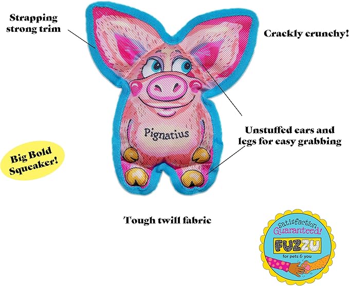 Pig Dog Toy | Funny Pignatius Dog Toy | Durable Squeaky | Rugged Chew Pig Toy | Small | 5"