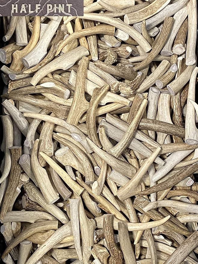Premium Deer Antler Dog Chew Toys (Small) Half-Pint