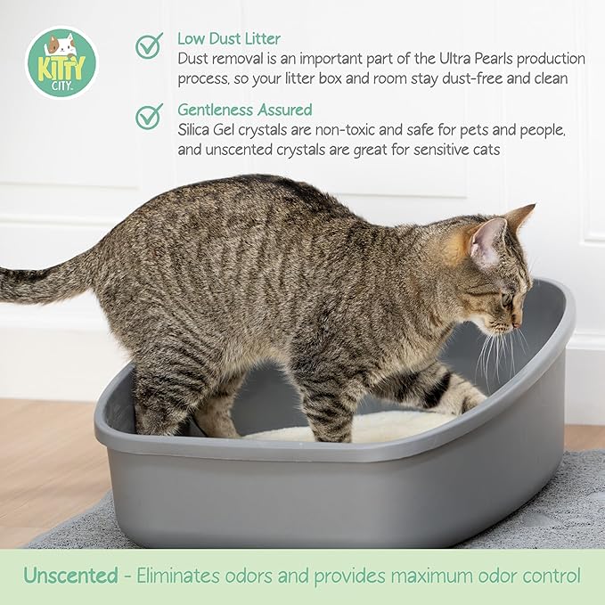 Kitty City pH Detecting Crystal Cat Litter, Silica Gel Crystals for Odor Control, Low Dust & Unscented, Health Monitoring Cat Litter, 6 lb