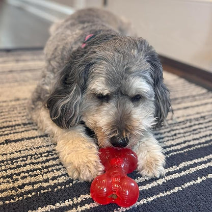 SPOT Play Strong Bone- Durable TPR Long Lasting Dog Chew for Aggressive Chewers, Hole for Treats, Virtually Indestructible Toy for Medium & Large Dogs & Puppies - 6.5 inch