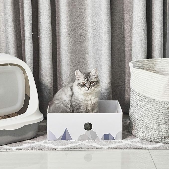 Cat Scratcher Box with Heavy-Duty Double-Sided Cardboard Pad, Cardboard Lounger, Cat Bed for Indoor Cats, Interactive Hole Design, Large - 5 Pack, White