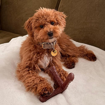SPOT Bam-Bones Plus Tripod, Bamboo Fiber & Nylon Dog Chew, Durable for Moderate to Aggressive Chewers, Non-Splintering, for Adult Dogs & Teething Puppies Under 50lbs, 5inch, Bison Flavor