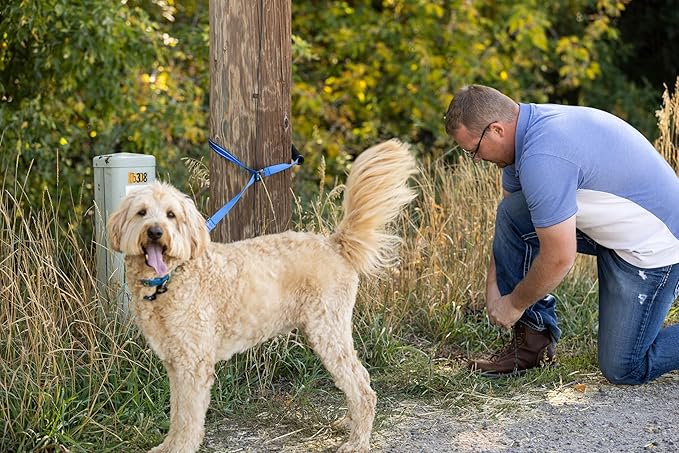 Pet Products Hands Free Dog Leash, Around The Waist, Crossbody, Solid Handle, Heavy Duty, (Blue)