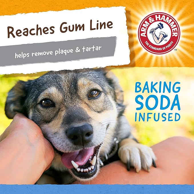 Arm & Hammer for Pets Nubbies TriBone Dog Dental Toy - Best Dog Chew Toy for Moderate Chewers - Helps Reduce Plaque & Tartar Peanut Butter Flavor Baking Soda (Pack of 2)