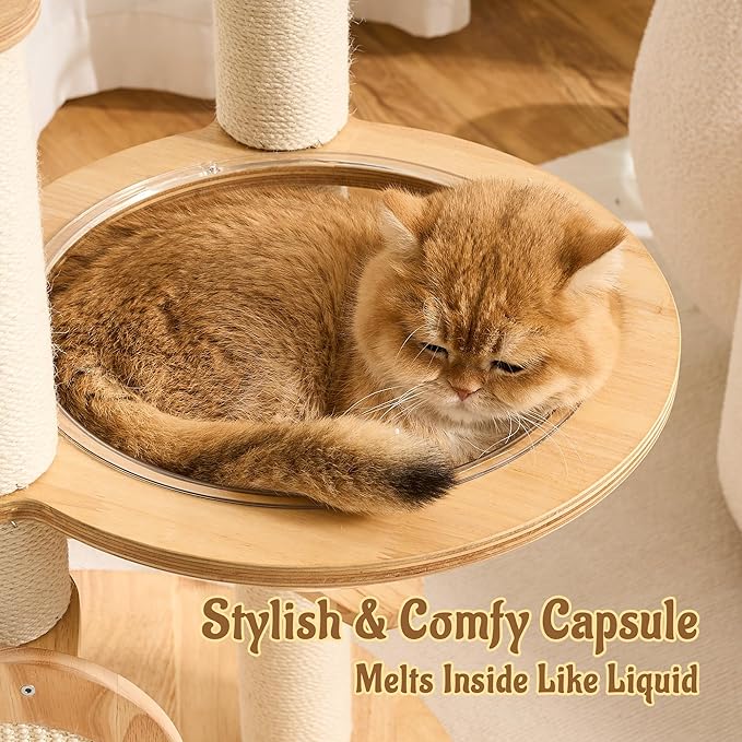 Modern Solid Wood Cat Tree for Indoor Cats Up to 15lbs, 49" Tall Cat Tower with Scratching Posts & Scratcher, Large Cat Bed, Hammock, Capsule Nest, Dangling Ball, Multi-Level Cat Furniture