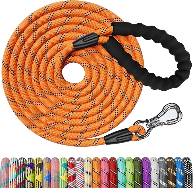 NTR 100FT Leash for Large Breed Dog, Long Leash with Swivel Lockable Hook, Padded Handle and Highly Reflective Thread, Pet Lead for Walking, Hunting,Camping, Backyard for Small Medium Large Dog