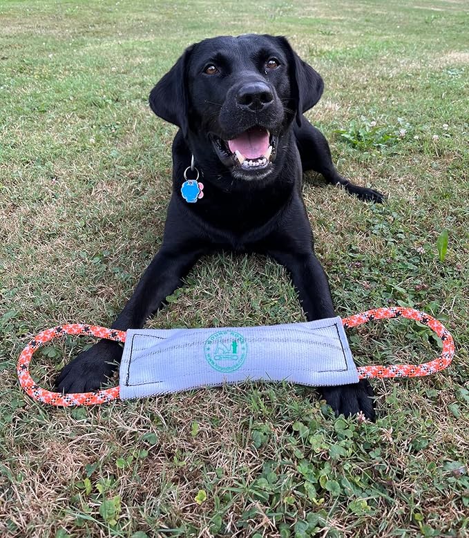 Rock-N-Rescue Hound Hose Firehose Dog Toy - Interactive Training Tug Rope from Durable Recycled Fire Hose. Indoor Outdoor Fetch Toy, Small with Rescue Rope Handles