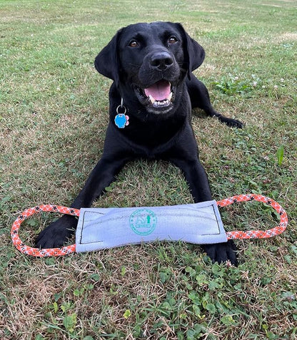Rock-N-Rescue Hound Hose Firehose Dog Toy - Interactive Training Tug Rope from Durable Recycled Fire Hose. Indoor Outdoor Fetch Toy, Small with Rescue Rope Handles
