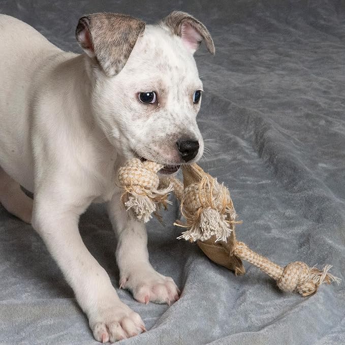 SPOT Dura-Fused Leather Jungle Animals - Dog Toy with Squeakers and Rope Limbs, Real Leather and Jute Chew Toy, Durable No-Stuffing Toy for Light to Moderate Chewers - 14in, Assorted Styles, 1 Piece