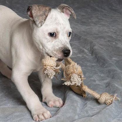 SPOT Dura-Fused Leather Jungle Animals - Dog Toy with Squeakers and Rope Limbs, Real Leather and Jute Chew Toy, Durable No-Stuffing Toy for Light to Moderate Chewers - 14in, Assorted Styles, 1 Piece