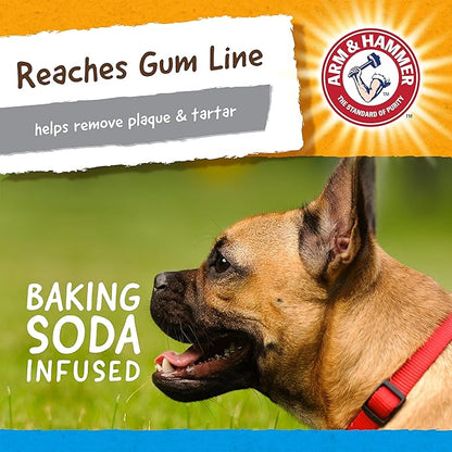 Arm & Hammer for Pets Nubbies Dental Toys Gator Dental Chew Toy for Dogs Best Dog Chew Toy for Moderate Chewers Reduces Plaque & Tartar Buildup Without Brushing, Gator (Pack of 1)