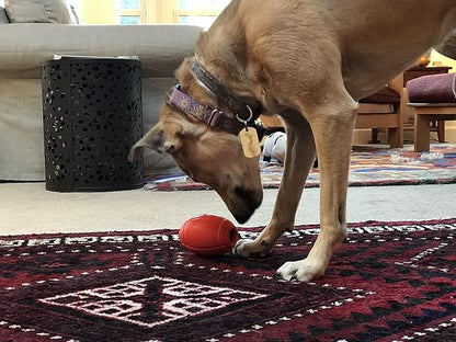 SodaPup MuttsKickButt Football – Durable Dog Treat Dispenser & Chew Toy Made in USA from Non-Toxic, Pet Safe, Food Safe Natural Rubber for Mental Stimulation, Problem Chewing, Calming Nerves & More