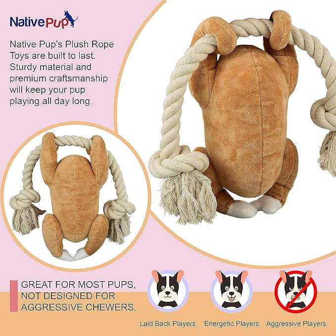 Native Pup Dog Toy Rope and Plush Stuffed Squeaker, Tug of War Toys for Dogs, Puppy Welcome Home Add on for Pets (Turkey)