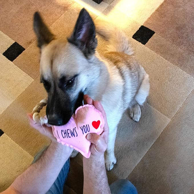Pavilion - I Chews You - 9.5" Heart Puppy Dog Toy with Rope Handle K-9 Furry Companion Present