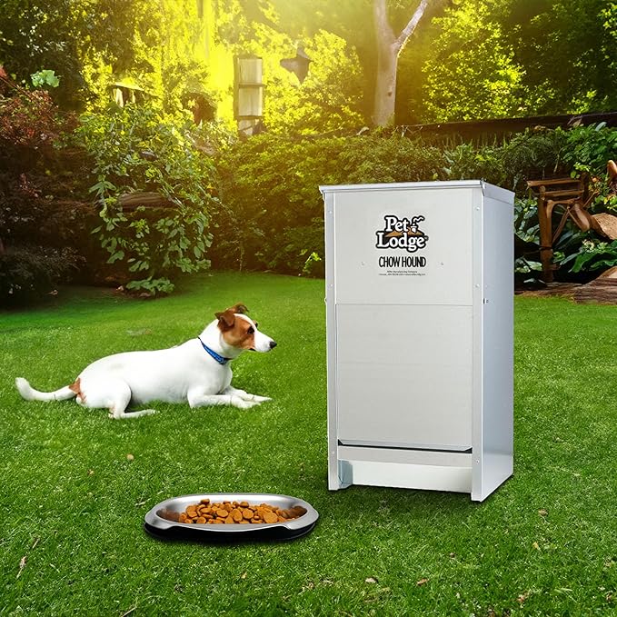 Little Giant Chow Hound 25 Pound Capacity Heavy Gauge Steel Indoor and Outdoor Dry Food Automatic Dog Feeder, Pack of 2, Silver