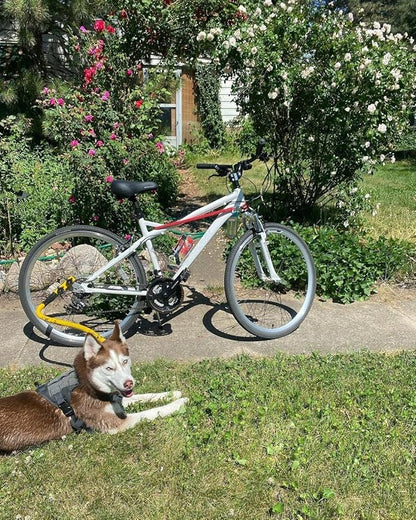 Quick Mount for Bike Tow Leash