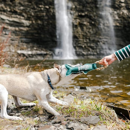 12" x 6" x 2" Teal Fish Shape Life is Better with A River Dog Tug of War Rope Handle Sturdy Dog Toy, Dogs for Medium- Large Breeds