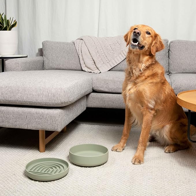 Should We Go? Dog Water Bowl - The Perfect Dish No-Spill, Less Mess Non-Tippable Water & Food Bowl, Pure Silicone with Suction Cup, Fits 8 Cups 9.5" Across x 2.5" Tall, Ideal for All Pets, Large-Sage