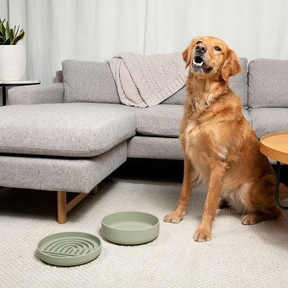 Should We Go? Dog Water Bowl - The Perfect Dish No-Spill, Less Mess Non-Tippable Water & Food Bowl Pure Silicone with Suction Cup Fits 8 Cups 9.5" Across x 2.5" Tall Ideal for All Pets, Large-Charcoal