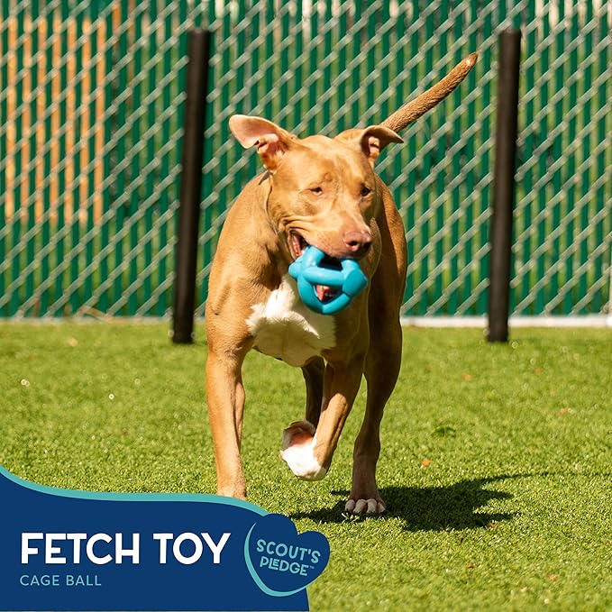 Good Scout Cage Ball Dog Toy for Tugging & Chewing, Best Dog Toy for Fetch, Aggressive Chew Toy for Puppies & Adult Dogs, No Stuffing Dog Toy for Medium & Large Dogs