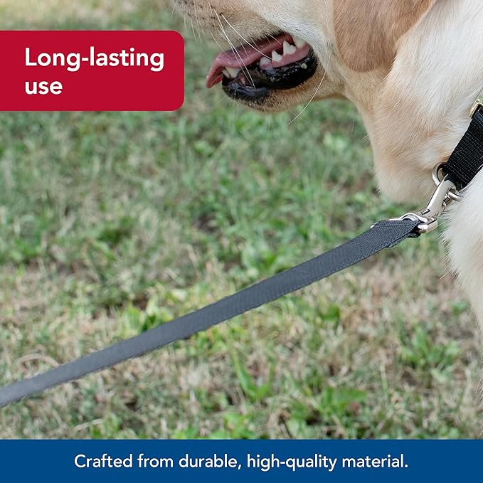 Coastal Pet Single-Ply Dog Leash - Sturdy Pet Leash - Comfortable & Stylish - Resists Fraying - Vibrant & Fade-Resistant Color - Hunter, 1" x 6'