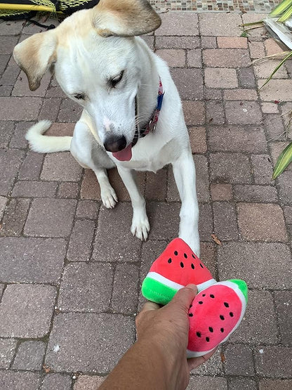 Glow Pups Dog Toy Watermelon 2-Pack for Small Dogs, Plush Squeaky Dog Toys for Small Dogs, Fun Cute Design, Promotes Mental Stimulation, Keeps Puppy Entertained, Playful Peach