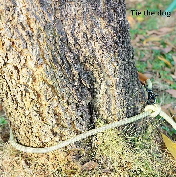 8FT Hands Free Dog Rope Leash, Waist Body Running Leash for Dog Walking (Sage Green, 8FTx10MM)