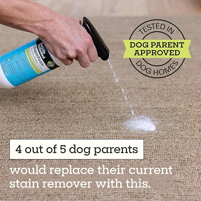 Pet Life Unlimited SuperFoam Spray, Carpet and Surface Cleaner for Dog Urine, 16 oz, Strong Odor & Stain Remover, Plant-Based Formula, Natural Juniper Leaf Scent, Two-Way Spray, USA Made (Pack of 3)