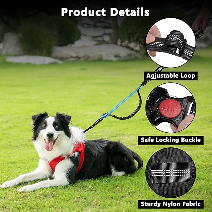 Hands Free Dog Leash with Zipper Pouch, Running Waist Leash for Dog Walking, Adjustable Waist Belt for Large Dogs, Reflective Bungee Design with Two Handle for Hiking,Training, Black