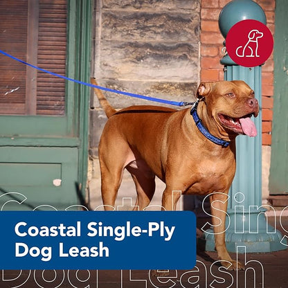 Coastal Pet Single-Ply Dog Leash - Sturdy Pet Leash - Comfortable & Stylish - Resists Fraying - Vibrant & Fade-Resistant Color - Blue, 1" x 4'