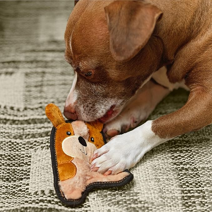 Outward Hound Durablez Tough Plush Squeaky Dog Toy, Puppy, Brown, XS