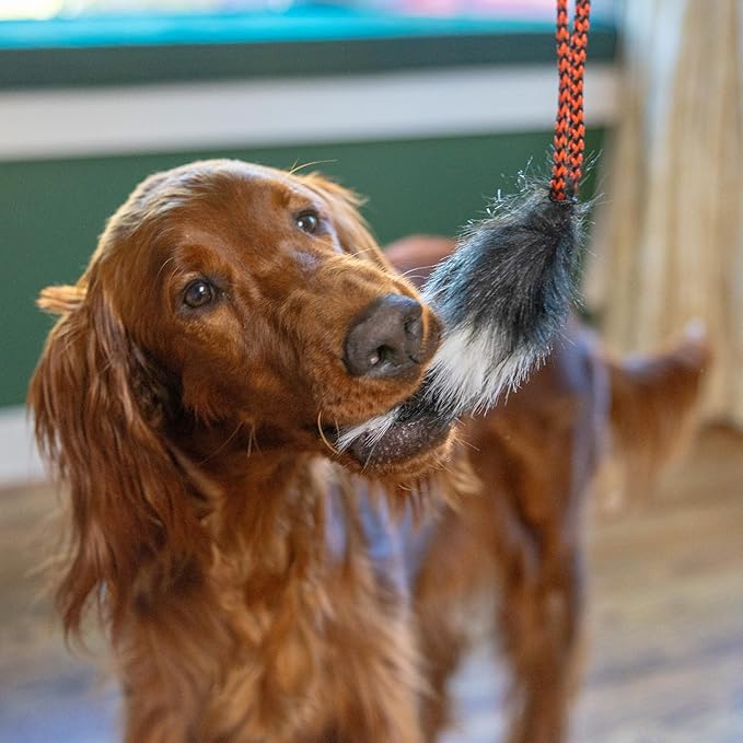 Outward Hound Tail Teaser Replacement Lure for Dog Teaser Wand, Beaver