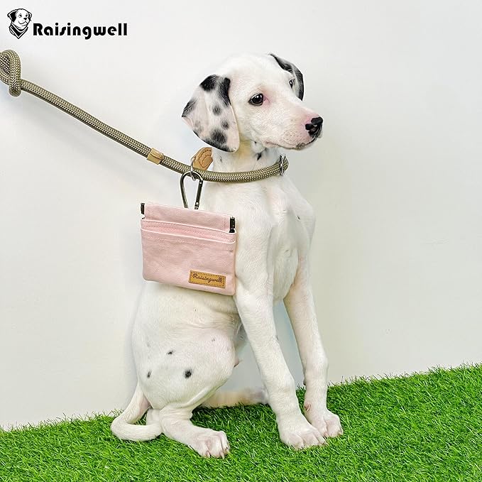 Raisingwell Pocket Sized Pet Training Pouch, Cotton Fabric, Hand Free Dog Walking Bag with Carabiner Self-Closing Pet Feed Snack Reward for Puppy Travel or Outdoor Use (PINK)
