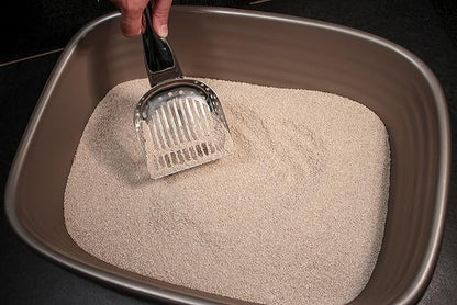 RSVP International Endurance Collection Stainless Steel Kitty Litter Scoop, 4.75x2.5x11.25"