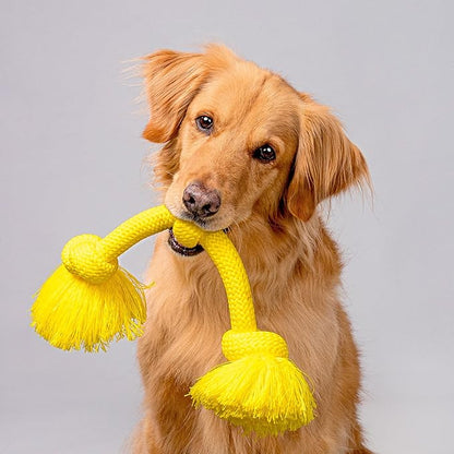 Playology Rope Toys for Dogs | Tug of War Dog Toy for Aggressive Chewers | Chicken Scented Dog Toys | Jumbo Rope Toy for Interactive Play